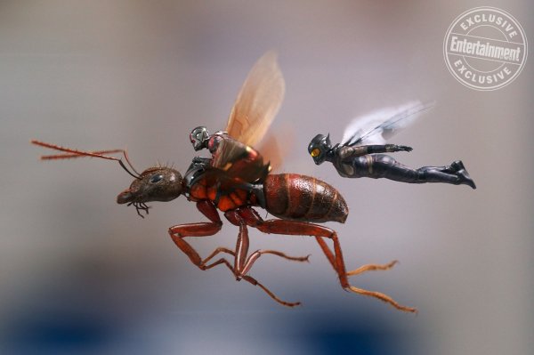 Человек-муравей и Оса